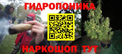 сатива Свободный
