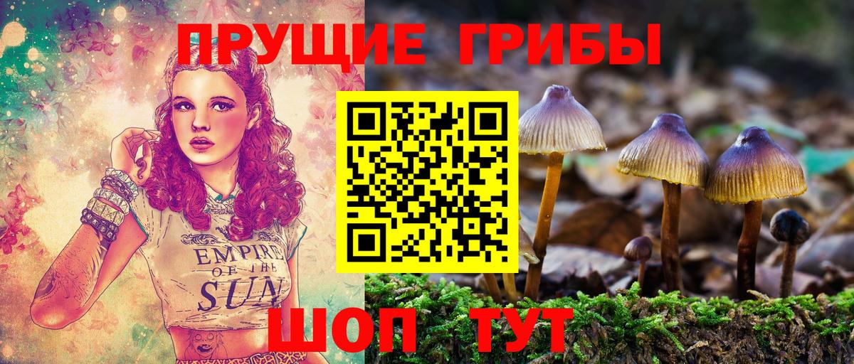 Псилоцибиновые грибы GOLDEN TEACHER  Вход с VPN  Советск 
