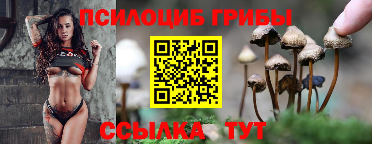 Псилоцибиновые грибы мухоморы Советск